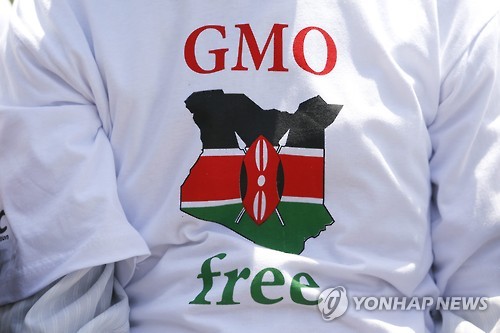 미국산 밀에 'GMO 콩·옥수수' 미량 혼입…"표시 불필요 수준" - 1