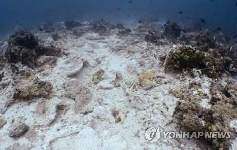 2017년 3월 15일 인도네시아 해양수산부 당국자가 촬영한 서파푸아주 라자 암팟 해역의 산호초 사진. 이 해역에선 바하마 선적의 관광용 크루즈 선박이 일시 좌초하는 사고가 발생해 1만9천㎡에 달하는 산호초가 훼손됐다. [EPA=연합뉴스자료사진]