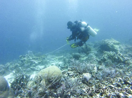 2017년 3월 15일 인도네시아 해양수산부 당국자가 바하마 선적의 관광용 크루즈 선박이 일시 좌초하는 사고가 발생한 서파푸아주 라자 암팟 해역에서 산호초 훼손 상태를 조사하고 있다. [EPA=연합뉴스자료사진]