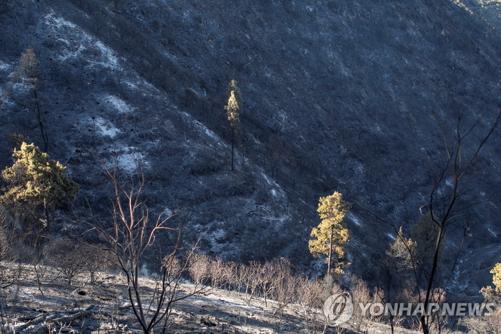 SPAIN FOREST FIRE