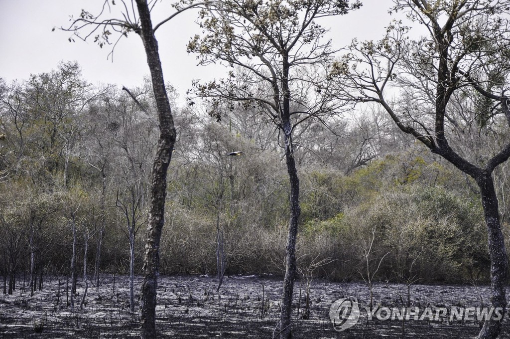 PARAGUAY FOREST FIRE