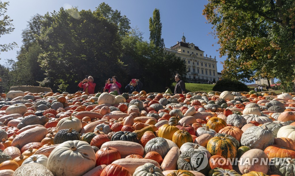 GERMANY PUMPKIN FESTIVAL