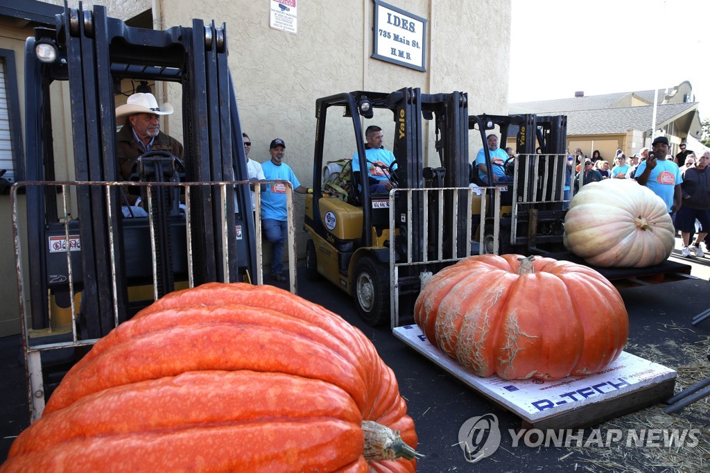 US-HALF-MOON-BAY'S-ANNUAL-PUMPKIN-WEIGH-OFF-DETERMINES-WORLD'S-B