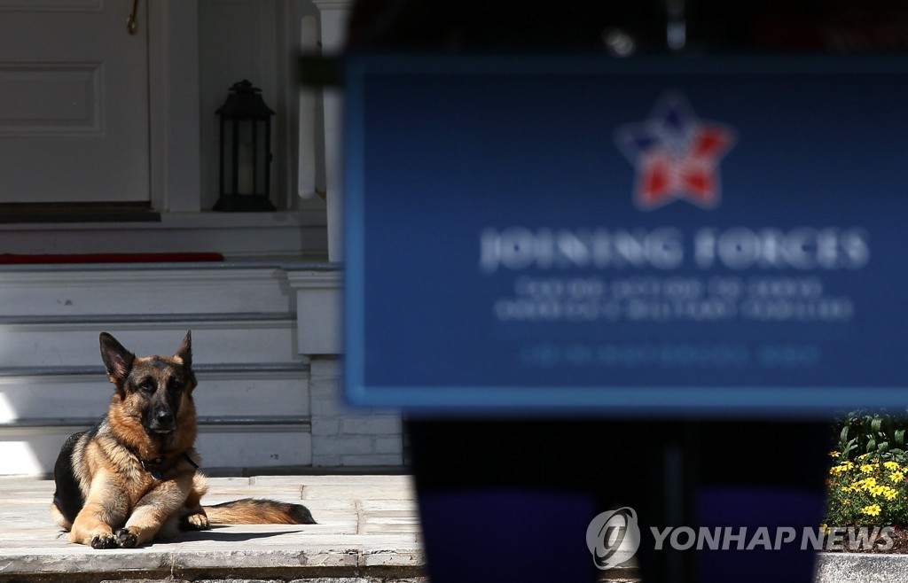 FILES-US-VOTE-BIDEN-DOGS