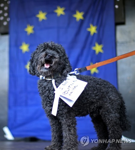 'WOOFERENDUM'행진에 참여한 반려견