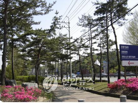 정조시대 모습 되찾는 수원 노송지대