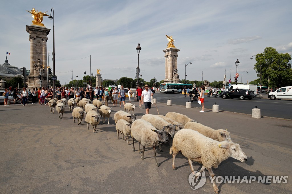 FRANCE-SHEEP/PARIS