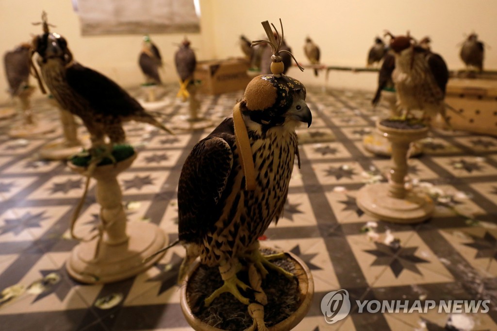 PAKISTAN-FALCONS/