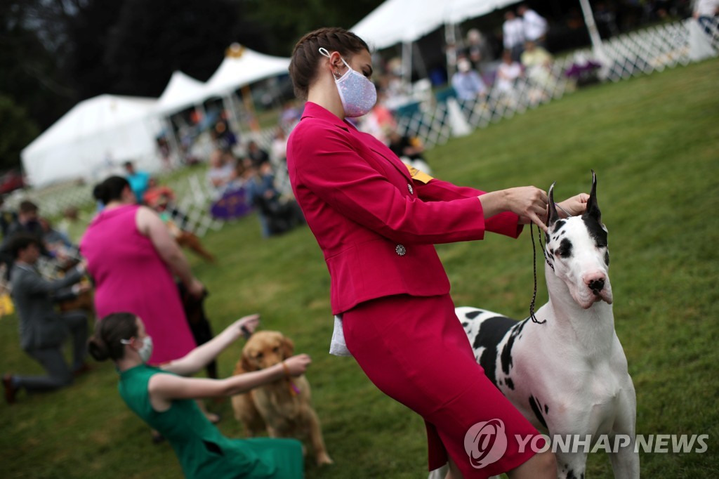 USA-DOGSHOW/WESTMINSTER
