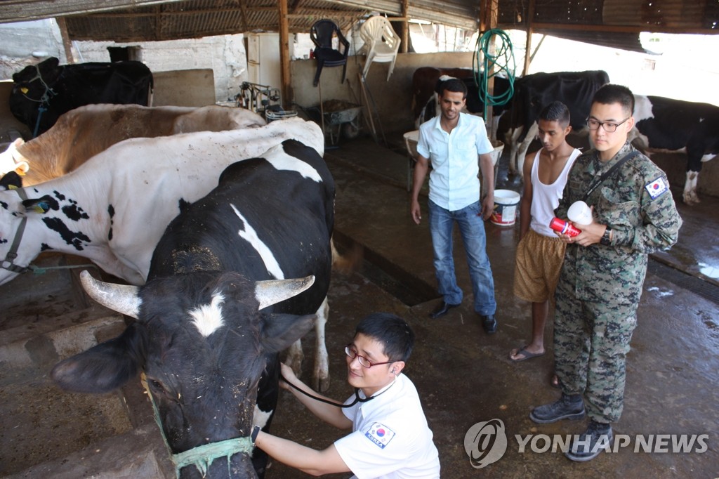 동명부대 수의 진료팀