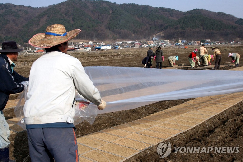 강원도 철원군의 들녘별 농업공동체