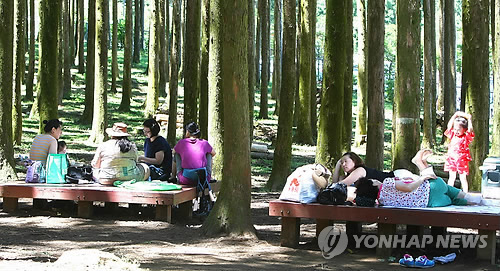제주절물휴양림에서 즐기는 삼림욕