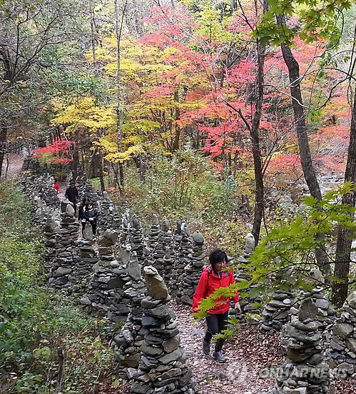 수능·입사 철을 맞아 발길 이어지는 모정탑