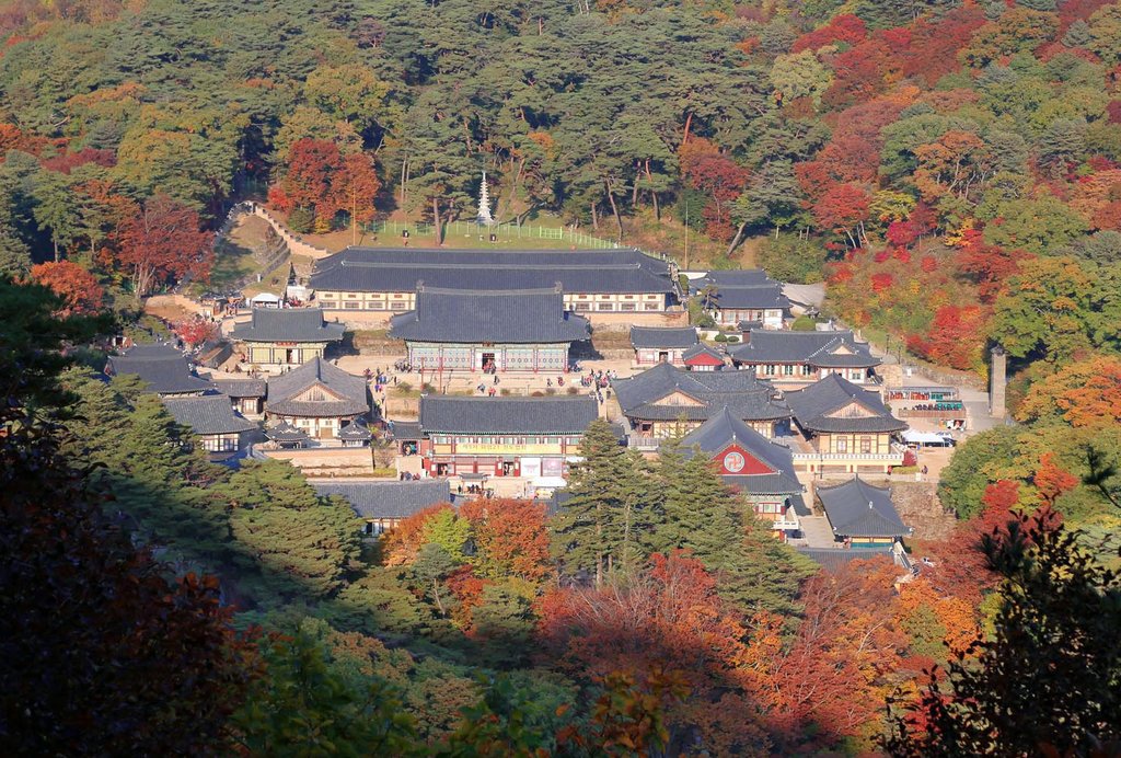 단풍으로 둘러싸인 해인사