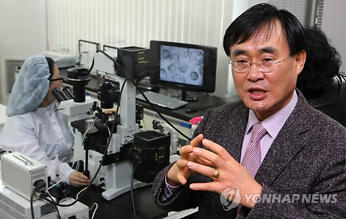 실험용 돼지 수정란 확보 신기술 설명