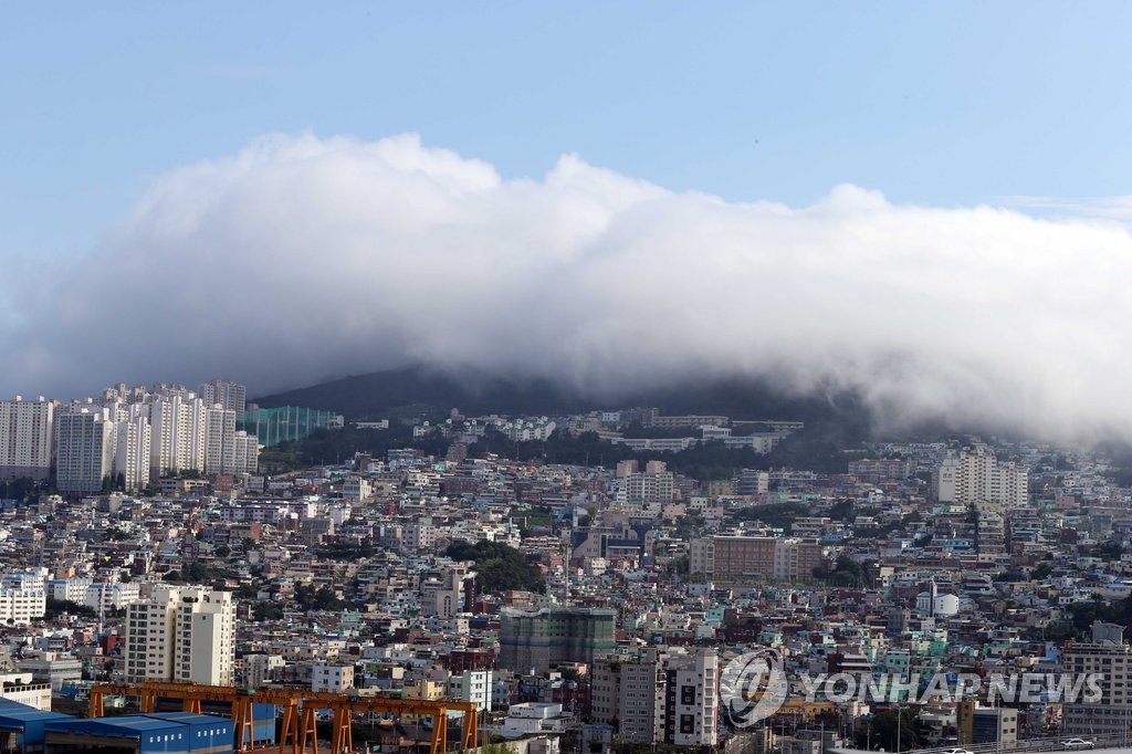 봉래산 뒤덮은 해무