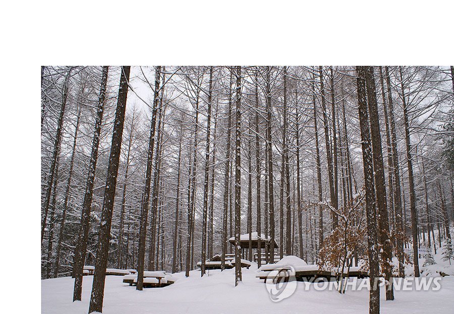 아름다운 청옥산 자연휴양림