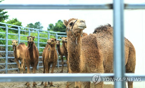 "밖에 나가고 싶어요"