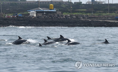 태산·복순 만난 춘삼이