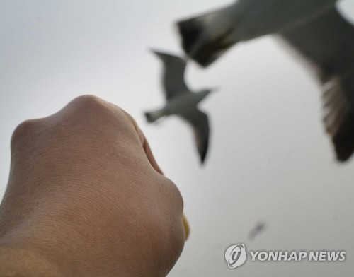 시각장애인 학생이 카메라로 찍은 세상