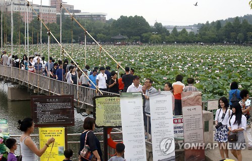 연꽃 구경하는 시민들