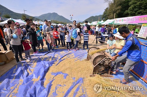 농촌체험(연합뉴스 자료사진)