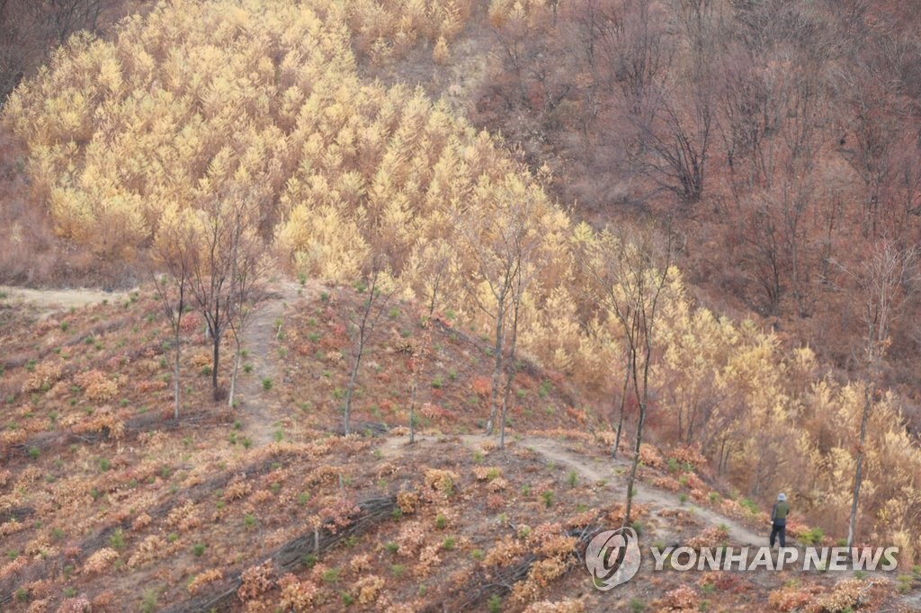 둘레길이 조성된 DMZ 펀치볼