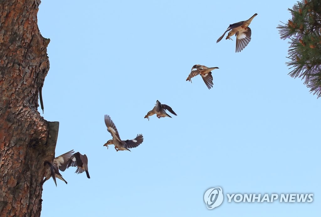 바쁘다, 바빠