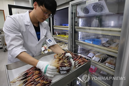 헌혈자 증가...혈액보유량 '적정'