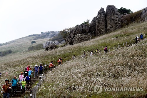 억새 핀 영남알프스 오르는 등산객들