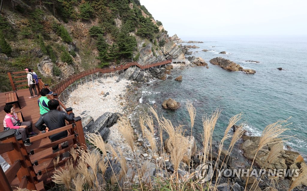 꼭꼭 숨겨뒀던 해안 비경 '정동심곡 바다부채길'