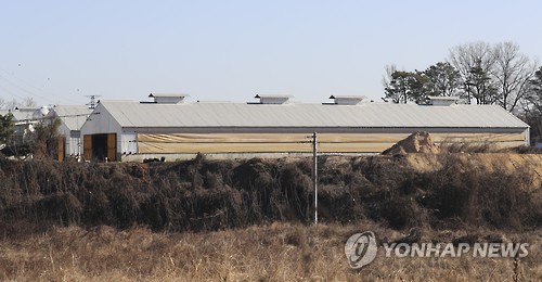 충북 진천서도 AI 발생