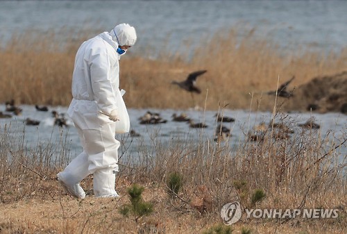 분변 채취하는 환경부 직원