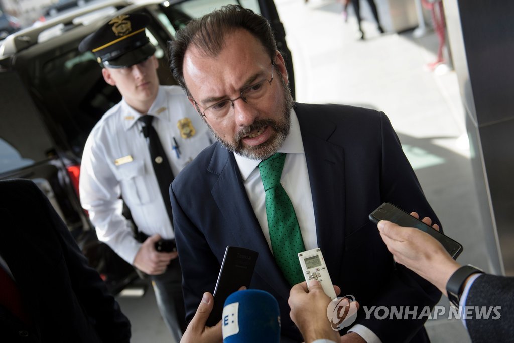 루이스 비데가라이 멕시코 외교부 장관