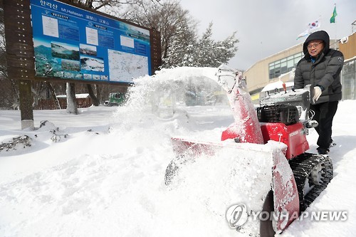 '치워도 끝이 없는 눈' (제주=연합뉴스) 박지호 기자 = 폭설이 내린 10일 오전 제주 한라산 국립공원 성판악 탐방 안내소에서 안내소 직원이 제설기를 이용해 눈을 치우고 있다. 2017.2.10 jihopark@yna.co.kr