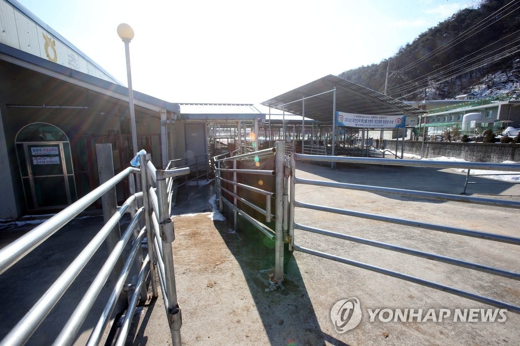 구제역 탓에 잠정 폐쇄된 우시장