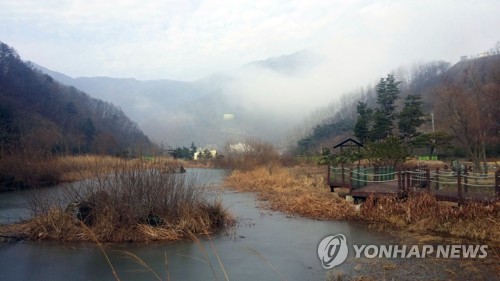 소양강댐 '가마골 생태공원'