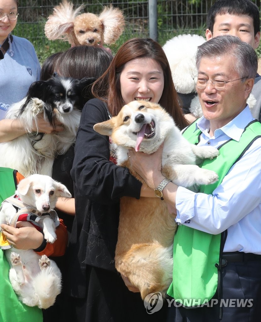 반려동물 안아보는 문재인 후보