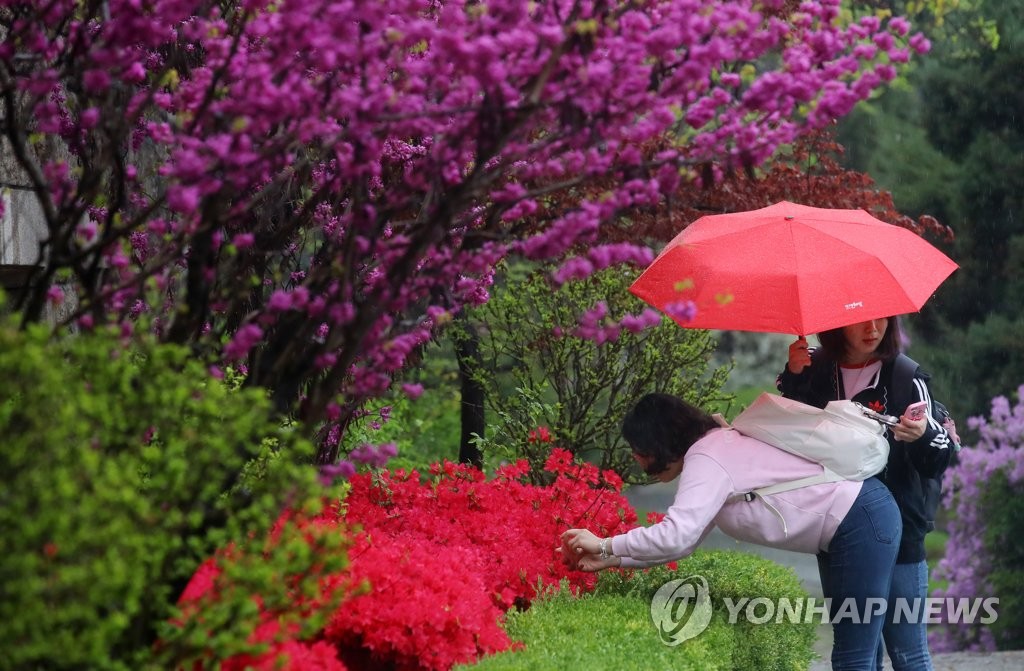 '봄의 色'