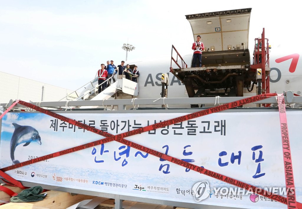 아시아나, 남방큰돌고래 2마리 제주 이송작전 완수