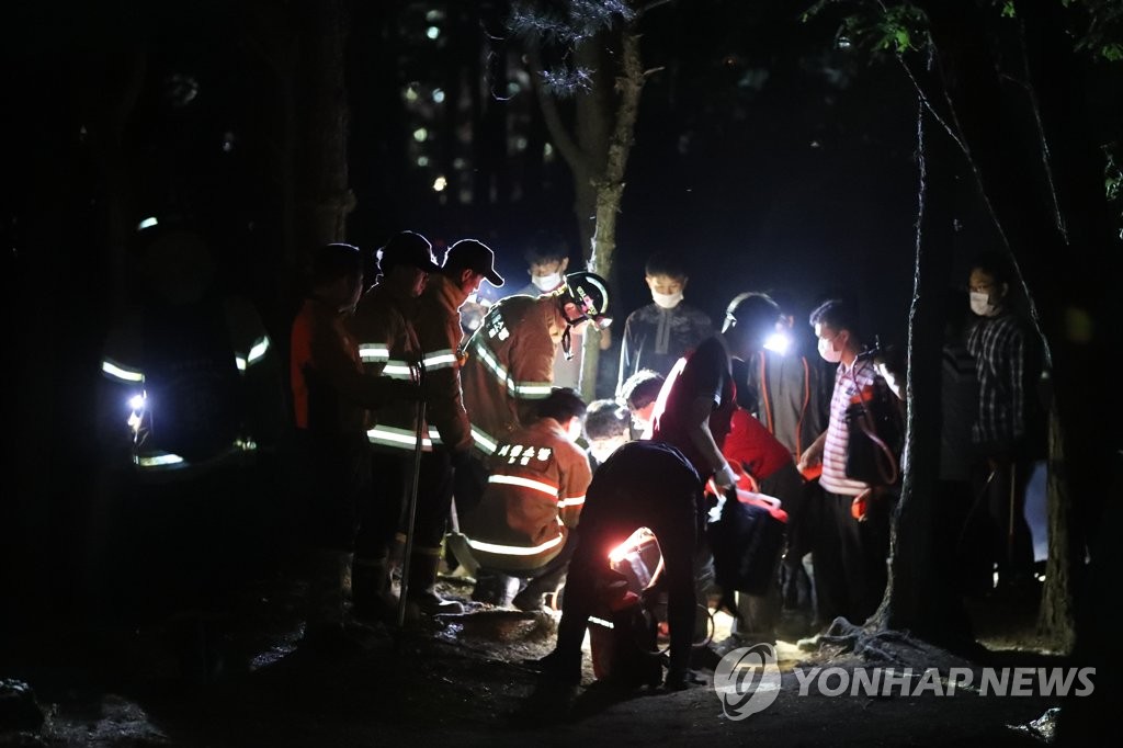 '산불을 잡아라'