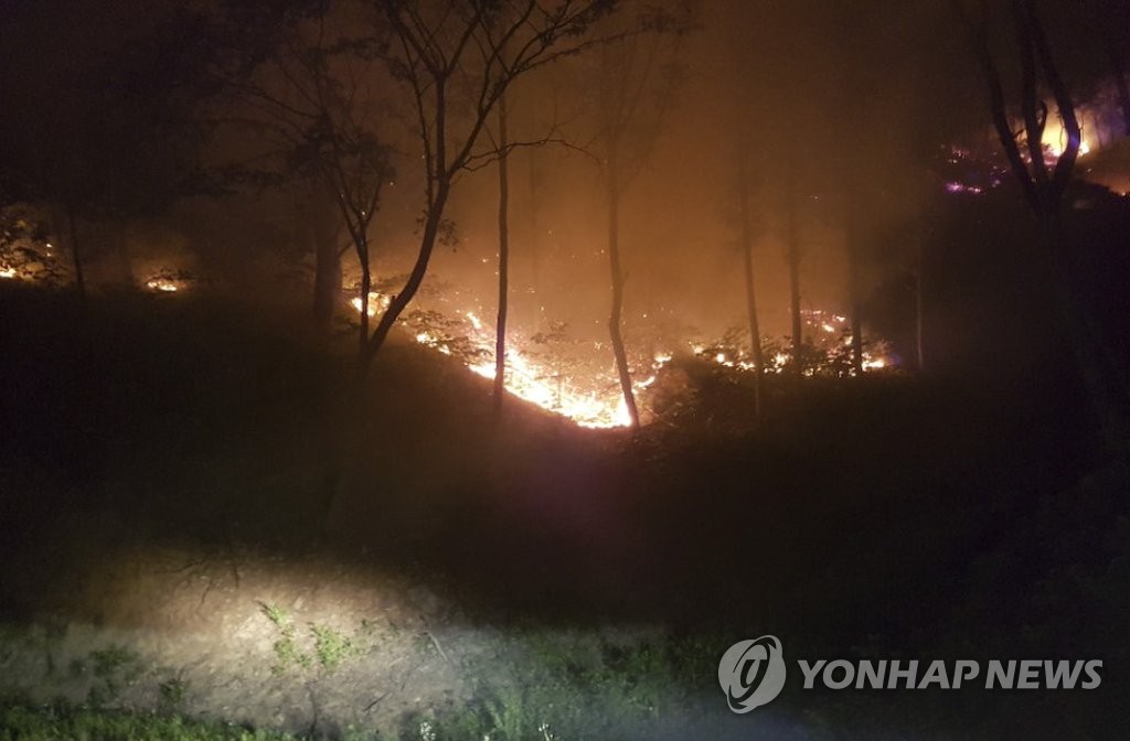 청주 야산서 불