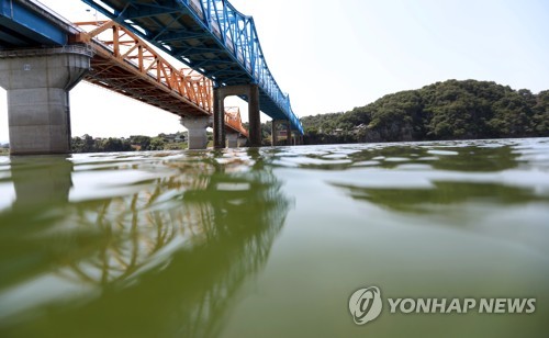 낙동강 녹조
