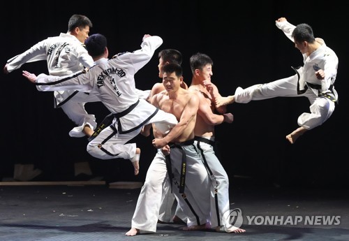 북한 태권도의 시범