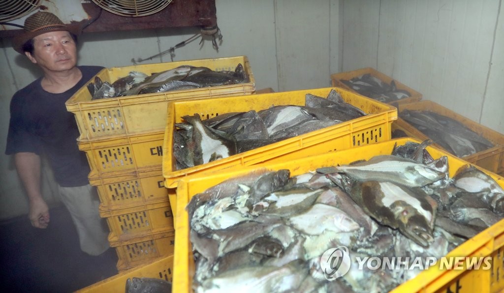 고수온 양식장 물고기 폐사