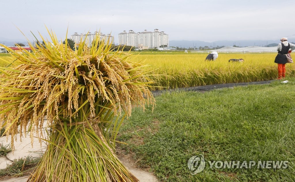 추수로 바쁜 농부