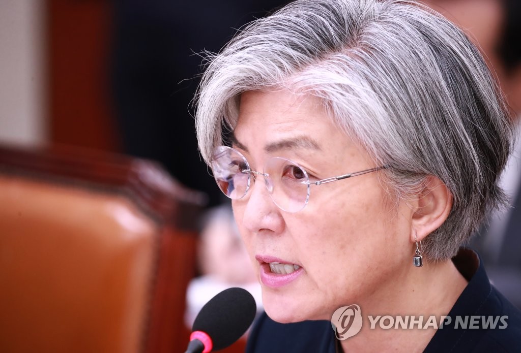 종합 국감 답변하는 강경화 외교장관