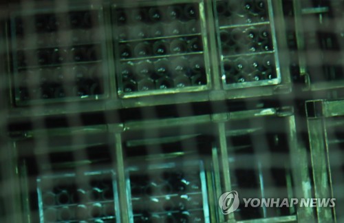 원자력연구원 내 사용후 핵연료