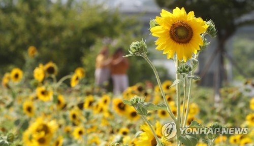여름 한창