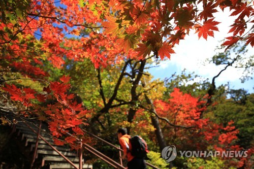 설악산 단풍산행